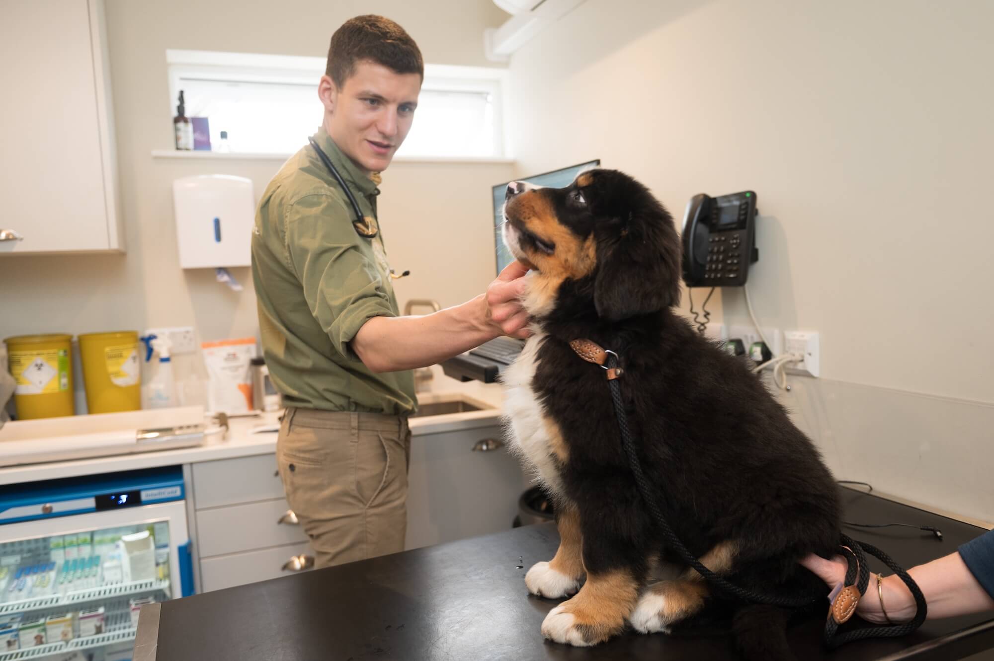 The Guildford Vet Group Consultation
